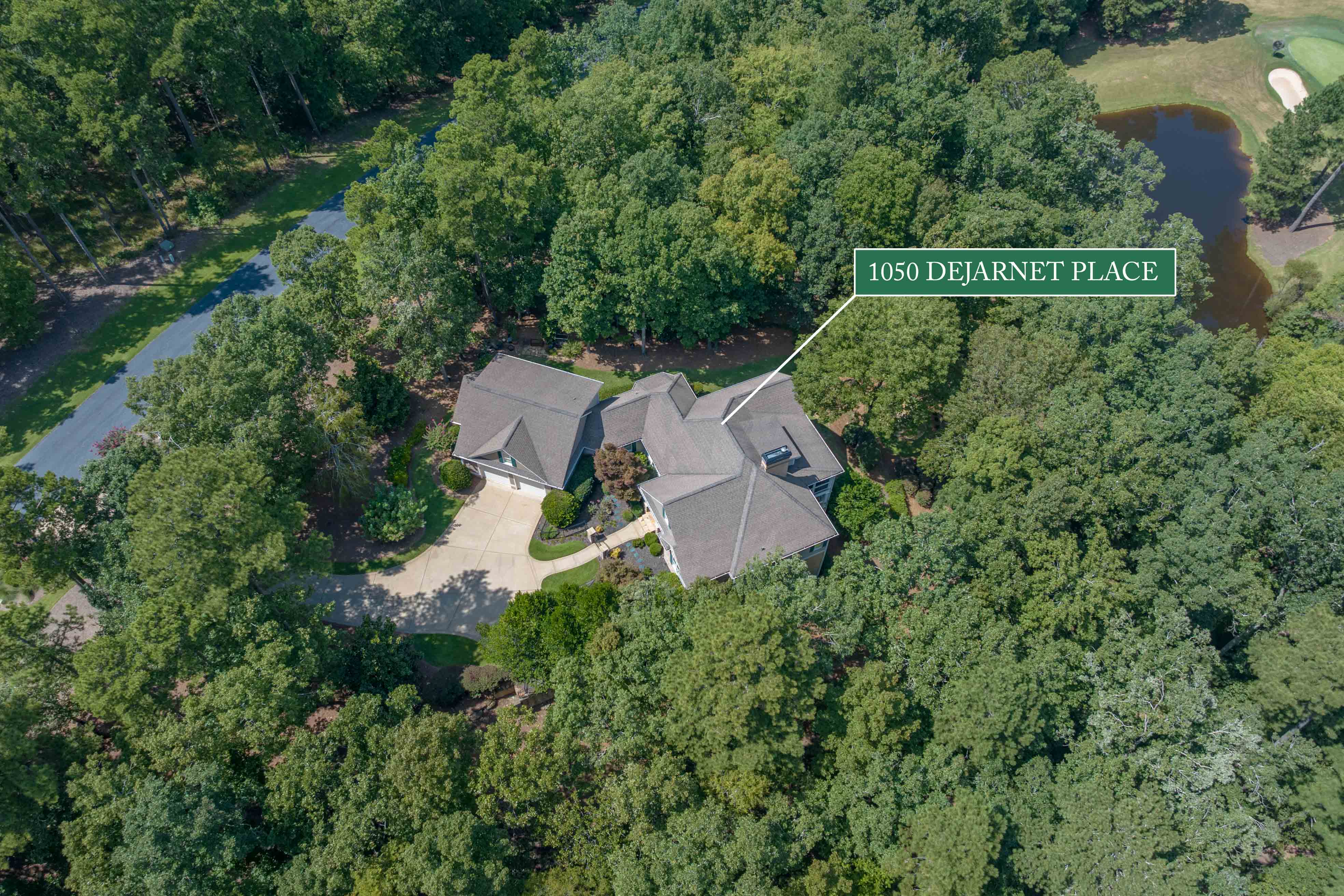 1050 Dejarnet Place image 57